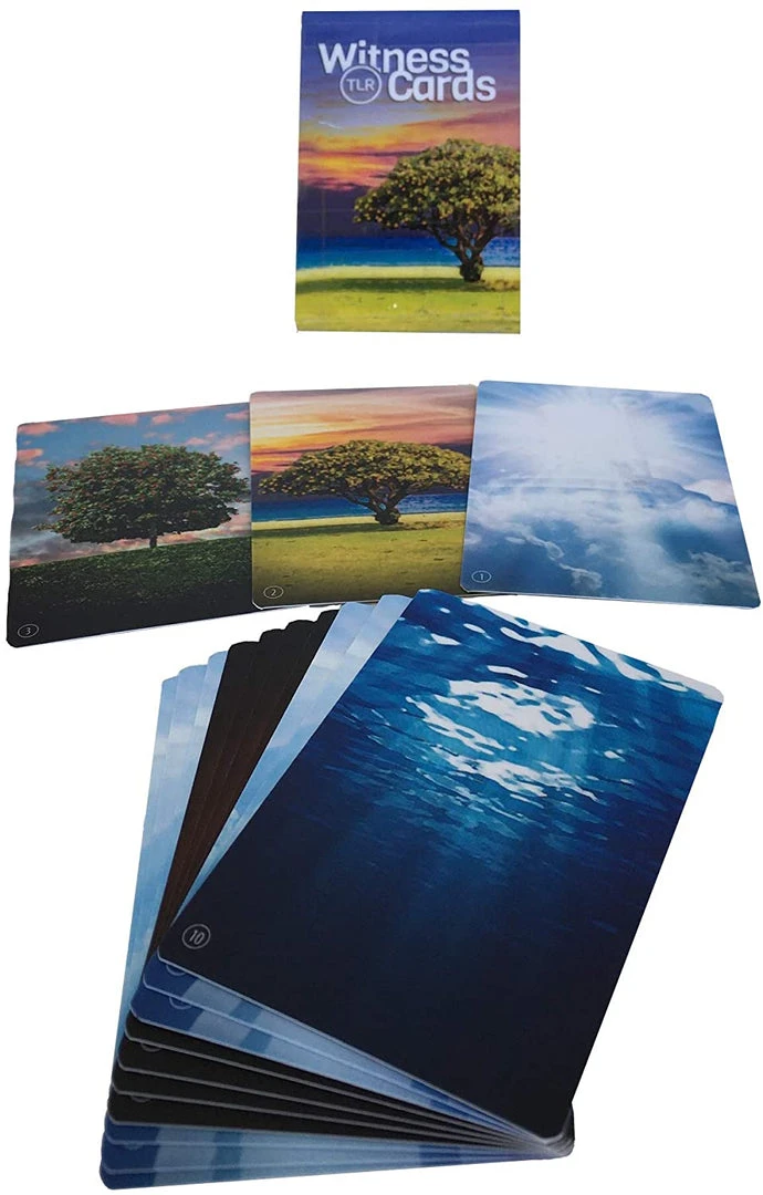 TLR Witness Cards: Share The Gospel And Make Disciples *PRE-ORDER* Latest Pre-order 2 TLR Witness Cards: Share The Gospel And Make Disciples *PRE-ORDER* Latest Pre-order