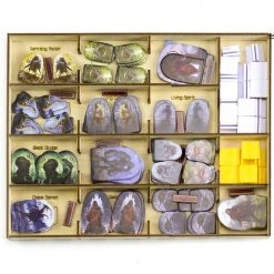 Gaming Trunk - Lion Jaws Organizer Compatible With Gloomhaven: Jaws Of The Lion (Natural Unstained) 29 Gaming Trunk - Lion Jaws Organizer Compatible With Gloomhaven: Jaws Of The Lion (Natural Unstained)