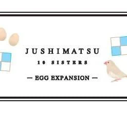 Japon Brand Jushimatsu: Egg Expansion