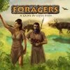 Dr. Finn's Games Foragers Board Games