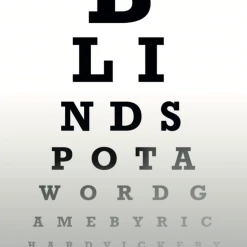 Sparkworks Blind Spot Board Games