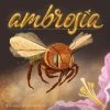 Skellig Games Board Games Ambrosia (Import)